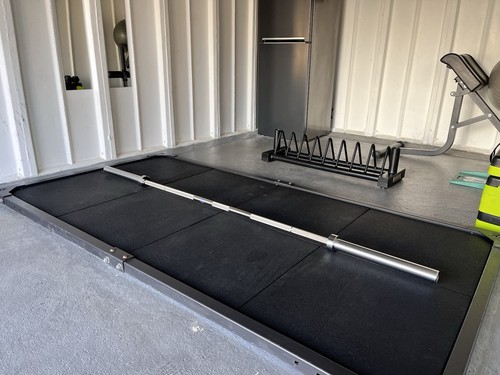 7ft 20kg rogue stainless - 7ft, steel