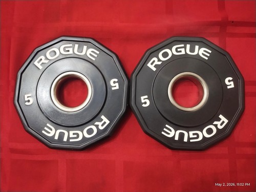 Rogue fitness bumper plates - fitness,