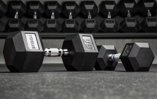 Rogue fitness hex dumbells - fitness,